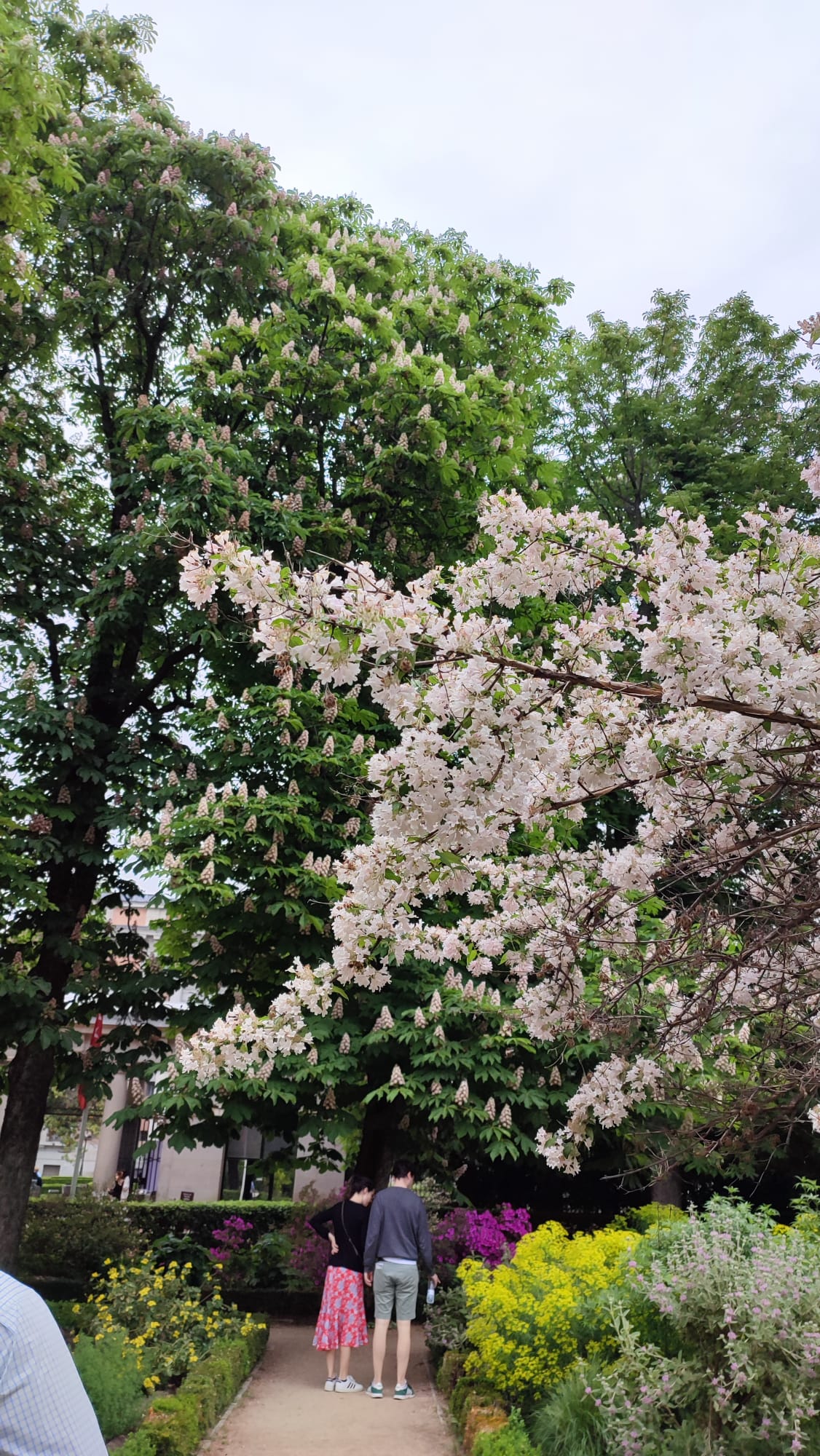 IMG-20230429-WA0077